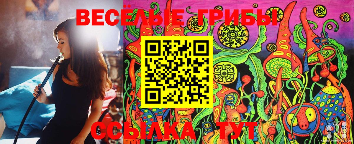 Галлюциногенные грибы Cubensis  Вход с VPN  Мценск 